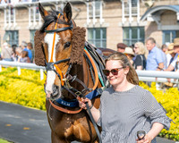 Race 1 - Connolly's Red Mills (12 of 86)