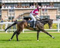 Race 1 - Connolly's Red Mills (14 of 86)