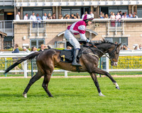 Race 1 - Connolly's Red Mills (13 of 86)