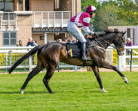 Race 1 - Connolly's Red Mills (15 of 86)
