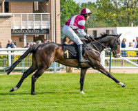 Race 1 - Connolly's Red Mills (16 of 86)