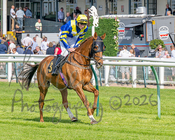 Race 1 - Connolly's Red Mills (17 of 86)