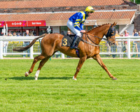 Race 1 - Connolly's Red Mills (19 of 86)