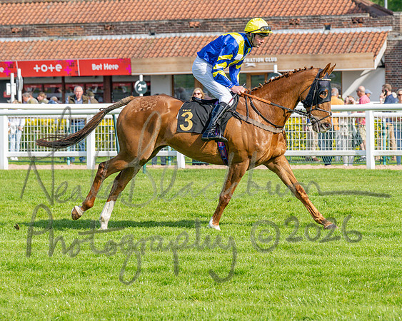Race 1 - Connolly's Red Mills (19 of 86)