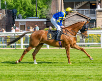 Race 1 - Connolly's Red Mills (20 of 86)