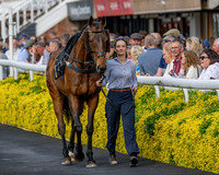Race 3 - GB Pointing Open (3 of 53)
