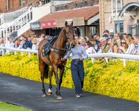 Race 3 - GB Pointing Open (4 of 53)