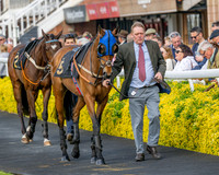 Race 3 - GB Pointing Open (6 of 53)