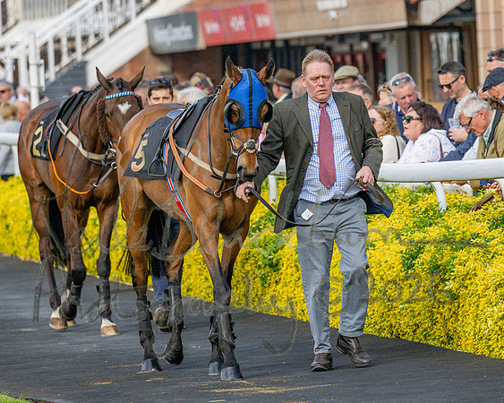 Race 3 - GB Pointing Open (6 of 53)