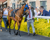 Race 3 - GB Pointing Open (7 of 53)