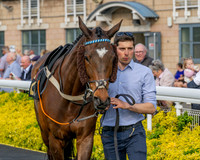 Race 3 - GB Pointing Open (8 of 53)