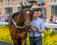 Race 3 - GB Pointing Open (9 of 53)