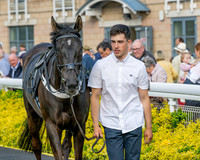 Race 3 - GB Pointing Open (12 of 53)