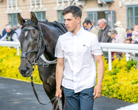 Race 3 - GB Pointing Open (13 of 53)