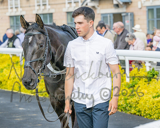 Race 3 - GB Pointing Open (13 of 53)