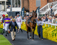 Race 3 - GB Pointing Open (15 of 53)