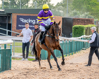 Race 3 - GB Pointing Open (20 of 53)