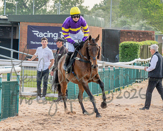 Race 3 - GB Pointing Open (20 of 53)