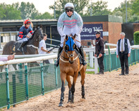 Race 3 - GB Pointing Open (18 of 53)