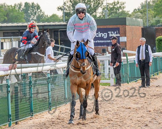 Race 3 - GB Pointing Open (18 of 53)