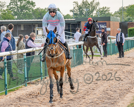 Race 3 - GB Pointing Open (19 of 53)