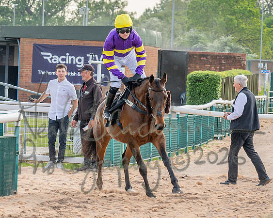 Race 3 - GB Pointing Open (21 of 53)