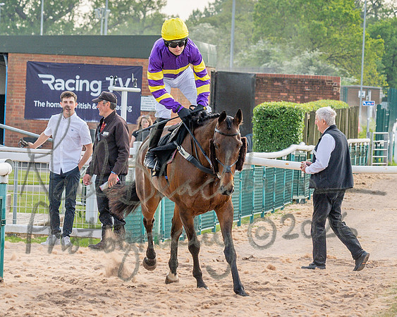 Race 3 - GB Pointing Open (22 of 53)
