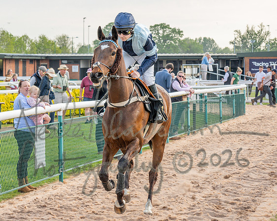 Race 3 - GB Pointing Open (23 of 53)