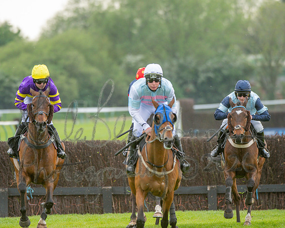 Race 3 - GB Pointing Open (24 of 53)