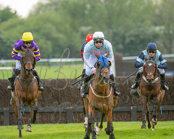 Race 3 - GB Pointing Open (25 of 53)