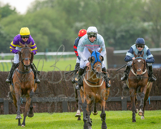 Race 3 - GB Pointing Open (26 of 53)
