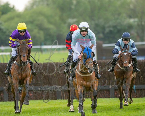 Race 3 - GB Pointing Open (27 of 53)