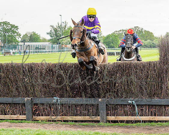 Race 3 - GB Pointing Open (30 of 53)
