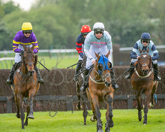 Race 3 - GB Pointing Open (28 of 53)