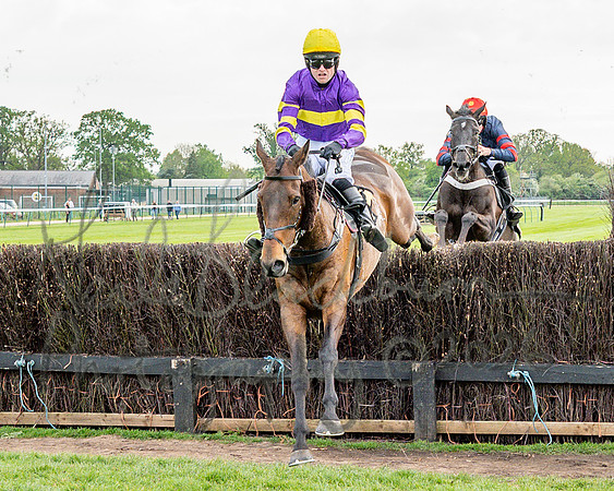 Race 3 - GB Pointing Open (32 of 53)