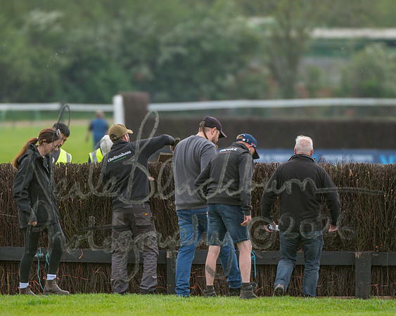 Race 3 - GB Pointing Open (29 of 53)