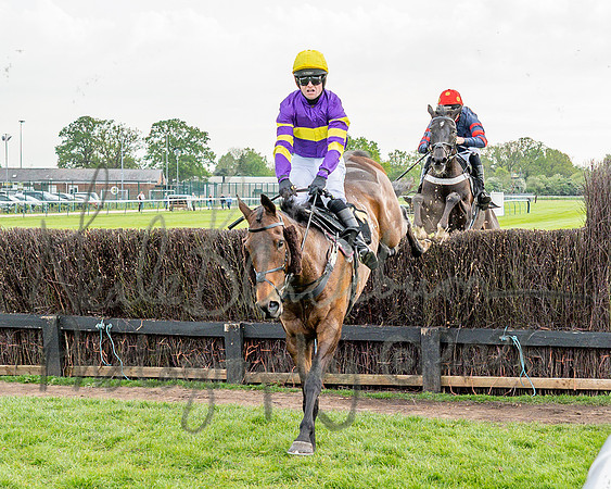 Race 3 - GB Pointing Open (33 of 53)