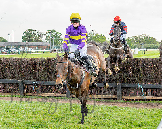 Race 3 - GB Pointing Open (34 of 53)