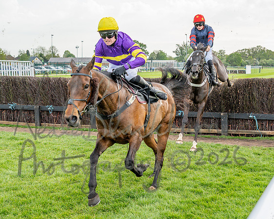 Race 3 - GB Pointing Open (35 of 53)