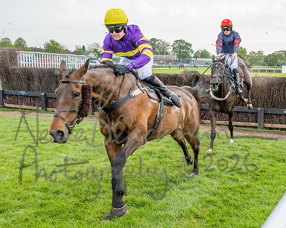 Race 3 - GB Pointing Open (36 of 53)