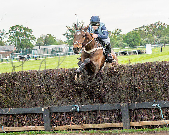 Race 3 - GB Pointing Open (39 of 53)