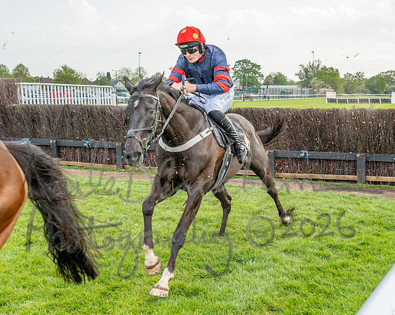 Race 3 - GB Pointing Open (37 of 53)