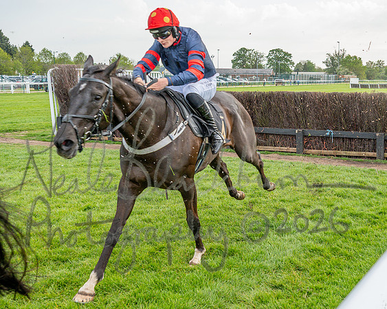 Race 3 - GB Pointing Open (38 of 53)