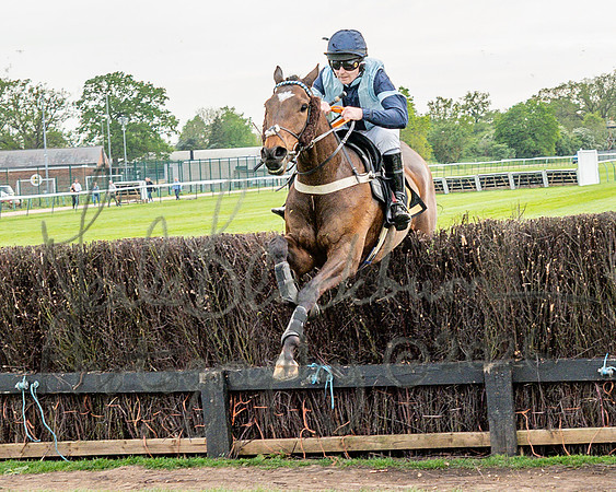 Race 3 - GB Pointing Open (40 of 53)