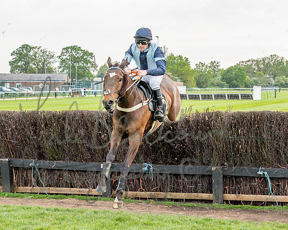 Race 3 - GB Pointing Open (41 of 53)