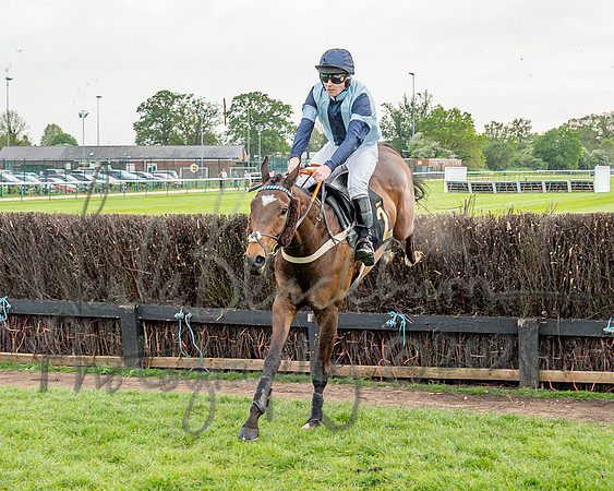Race 3 - GB Pointing Open (42 of 53)