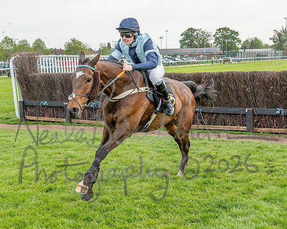 Race 3 - GB Pointing Open (43 of 53)