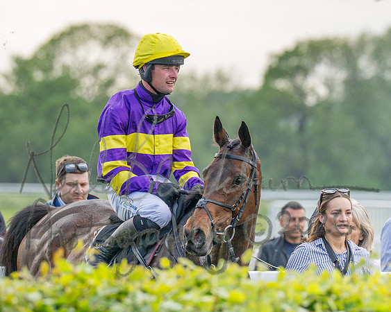 Race 3 - GB Pointing Open (44 of 53)