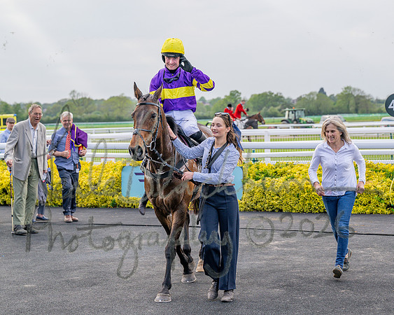 Race 3 - GB Pointing Open (46 of 53)