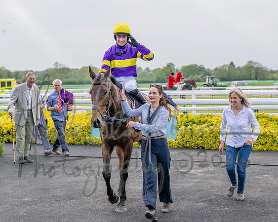 Race 3 - GB Pointing Open (47 of 53)